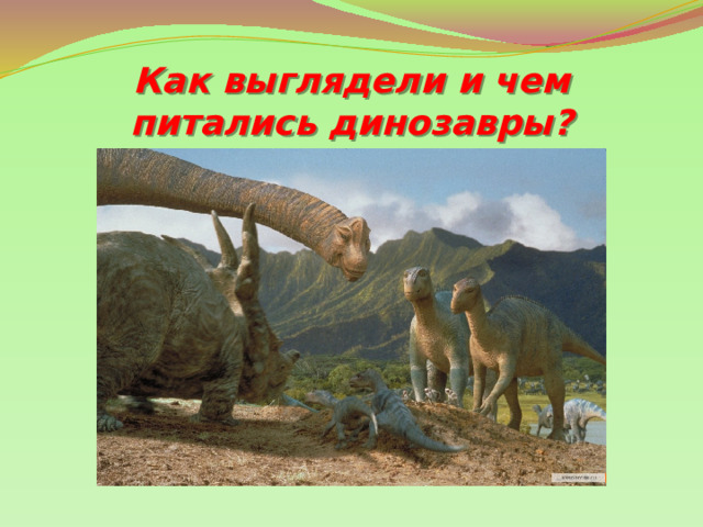 Как выглядели и чем питались динозавры? 