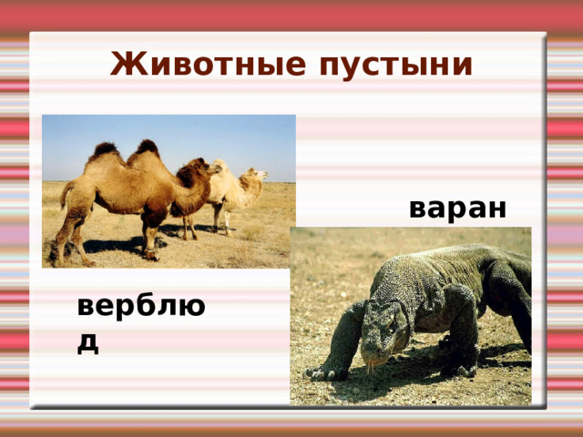 Презентация "Пустыни" (окружающий мир, А. А. Плешаков, 4 класс. Школа России)