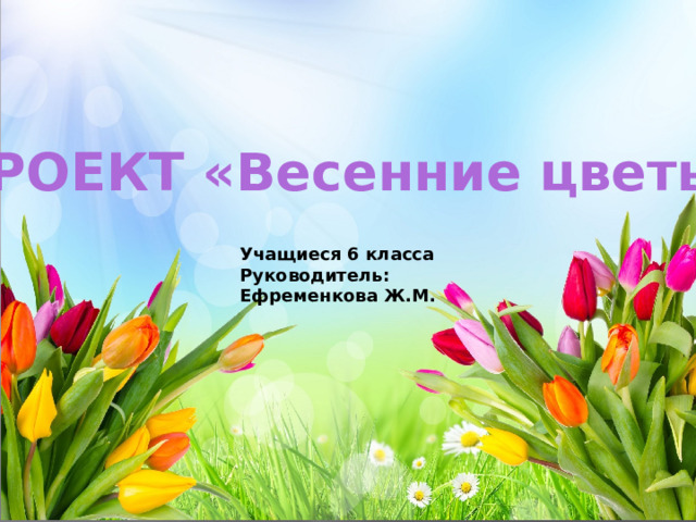 ПроекТ «Весенние цветы» ПРОЕКТ «Весенние цветы» Учащиеся 6 класса Руководитель: Ефременкова Ж.М. Руководитель : Ефременкова Ж.М 