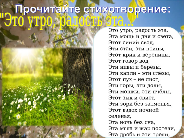Это утро, радость эта, Эта мощь и дня и света, Этот синий свод, Эти стаи, эти птицы, Этот крик и вереницы, Этот говор вод, Эти нивы и берёзы, Эти капли – эти слёзы, Этот пух – не лист, Эти горы, эти долы, Эти мошки, эти пчёлы, Этот зык и свист, Эти зори без затменья, Этот вздох ночной селенья, Эта ночь без сна, Эта мгла и жар постели, Эта дробь и эти трели, Это всё – весна.  