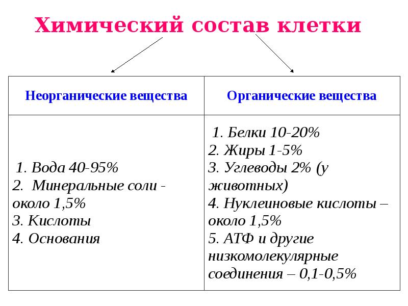 Заполни схему неорганические вещества клетки используя предложенные термины