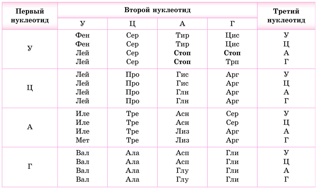 Сколько нуклеотидов в кодоне. Таблица триплетов генетического кода. Генетический код ИРНК таблица. Таблица аминокислот ИРНК. Генетический код нуклеотиды таблица.