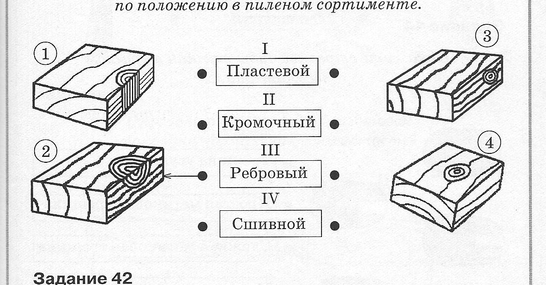 Древесина 7 букв. Пластевые трещины. Задания по столярному делу. Контрольные работы по столярному делу в коррекционной. Задания по столярному делу в коррекционной школе.