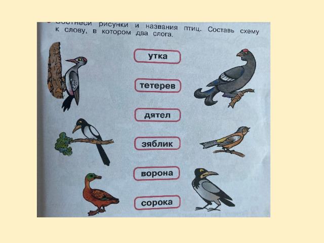 Обучение грамоте 1 класс буква я как обозначается. Презентация 1 класс обучение грамоте тема сопоставление е и я. Презентация буква я 1 класс школа России обучение грамоте. П̸р̸о̸п̸и̸с̸и̸ 1 к̸л̸а̸с̸с̸ б̸у̸к̸в̸а̸ Я̸.