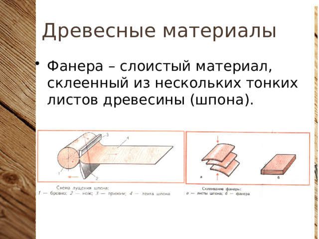 Древесные материалы Фанера – слоистый материал, склеенный из нескольких тонких листов древесины (шпона). 