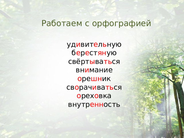 Работаем с орфографией уд и вит е л ь ную б е р е ст ян ую свёрт ы ва ть ся вн и мание о ре шн ик св о рач и ва ть ся о рех о вка внутр енн ость 