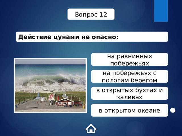 Вопрос 12 Действие цунами не опасно: на равнинных побережьях на побережьях с пологим берегом в открытых бухтах и заливах в открытом океане 