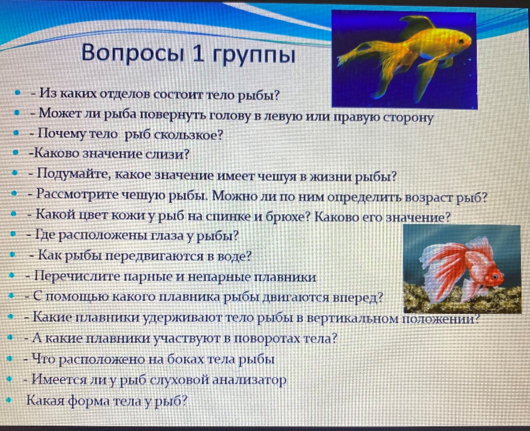 Современный метапредметный урок» Конспект урока биологии в 7 классе по теме  «Внешнее и внутреннее строение рыб»