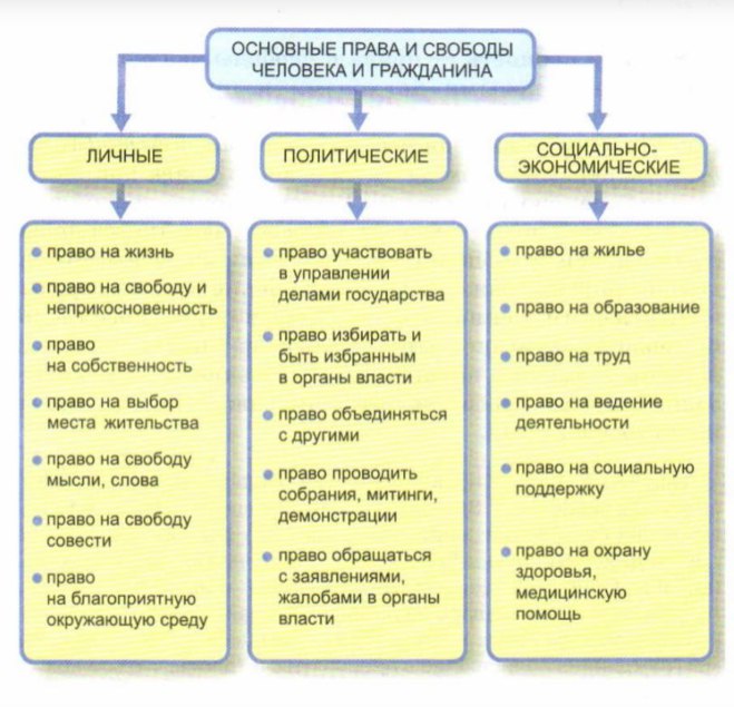 План по обществознанию политические права и свободы граждан