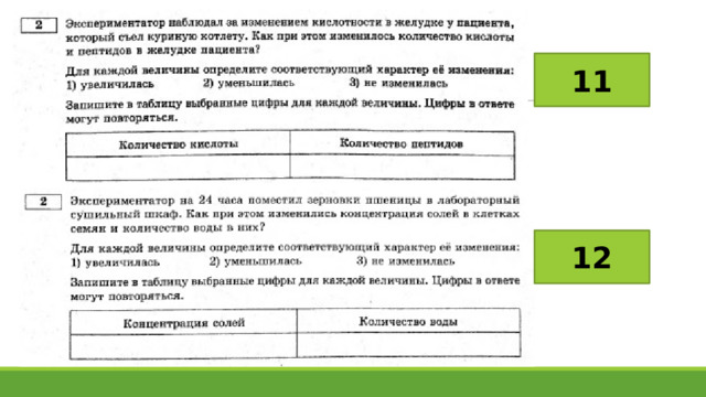 Экспериментатор поместил микропрепарат поперечного разреза ветки липы на предметный столик