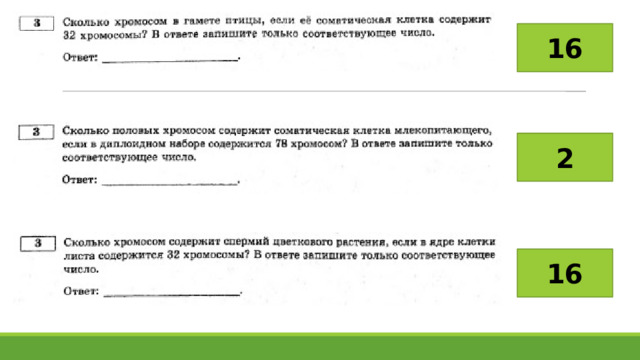 Рохлов егэ 2023. Задание на вирусы в ЕГЭ 2023. Картинки с ЕГЭ биология Рохлов 2023.