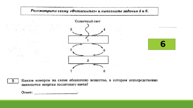 Биология 2023 задания. Подготовка к ЕГЭ 2023.