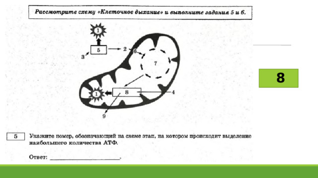 Рохлов варианты егэ 2023