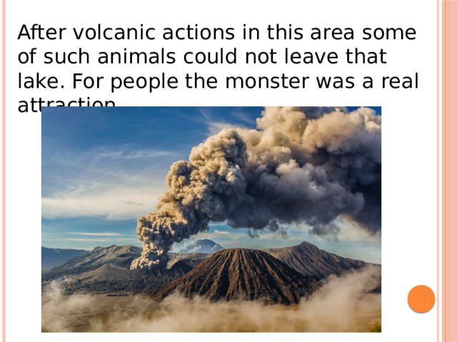 After volcanic actions in this area some of such animals could not leave that lake. For people the monster was a real attraction. 