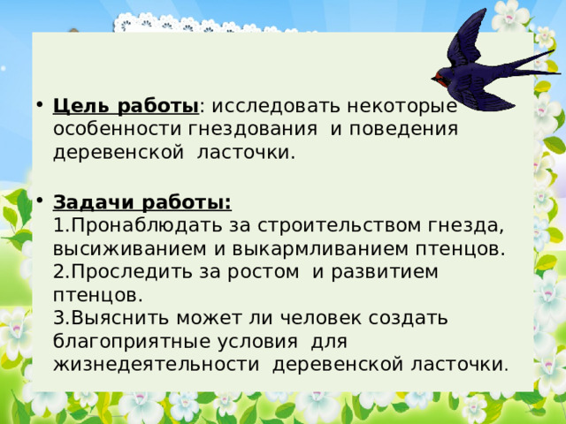  Цель работы : исследовать некоторые особенности гнездования и поведения деревенской ласточки.   Задачи работы:  1.Пронаблюдать за строительством гнезда, высиживанием и выкармливанием птенцов.  2.Проследить за ростом и развитием птенцов.  3.Выяснить может ли человек создать благоприятные условия для жизнедеятельности деревенской ласточки . 