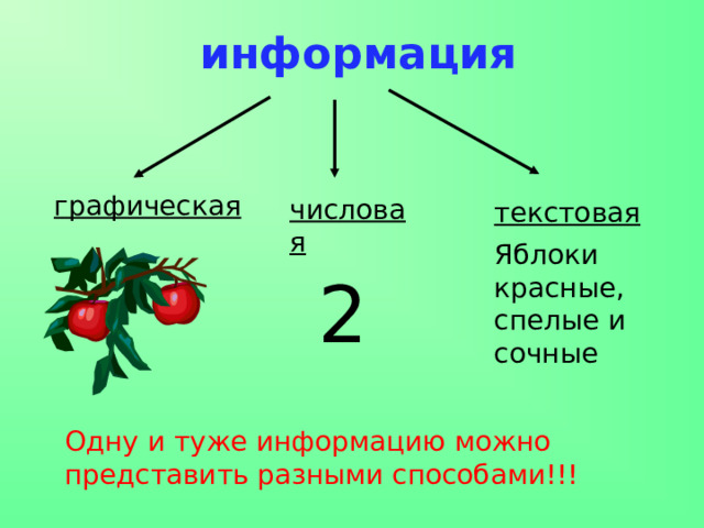 информация графическая числовая текстовая Яблоки красные, спелые и сочные 2 Одну и туже информацию можно представить разными способами!!! 