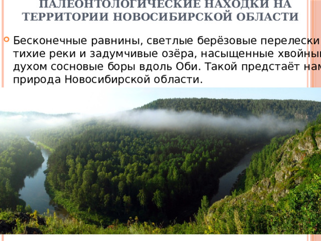  Палеонтологические находки на территории Новосибирской области Бесконечные равнины, светлые берёзовые перелески, тихие реки и задумчивые озёра, насыщенные хвойным духом сосновые боры вдоль Оби. Такой предстаёт нам природа Новосибирской области. 