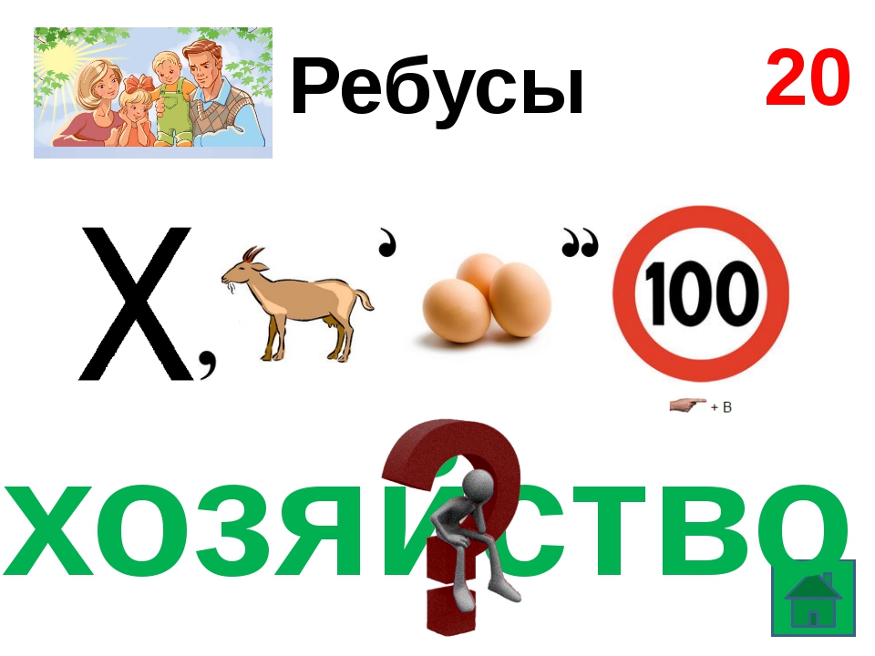 Ребусы. Ребусы по обществознанию. Ребус доходы семьи. Ребусы по бюджету. Ребусы про сельское хозяйство.