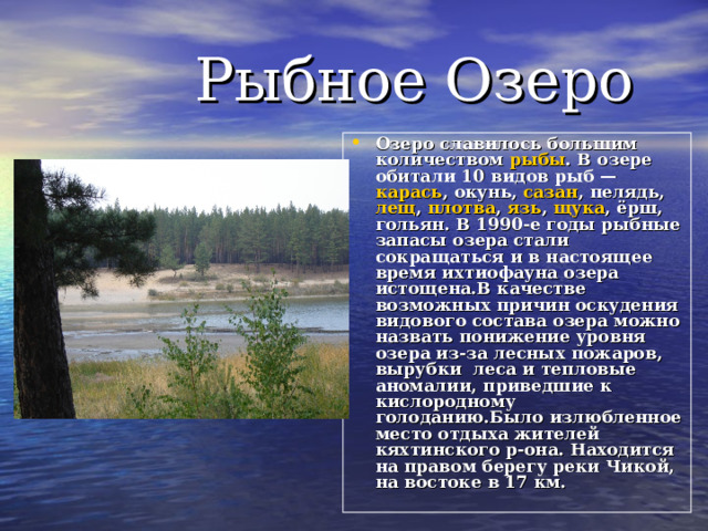 В каком озере обитает. Чеполшевское озеро какая рыба водится.