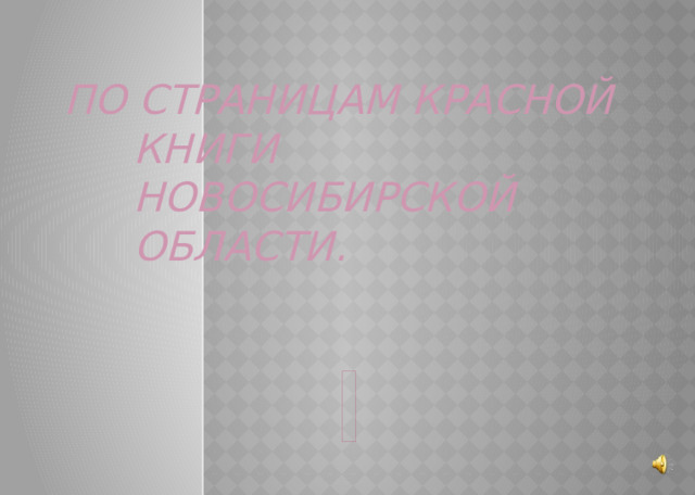 По страницам Красной Книги Новосибирской области. 