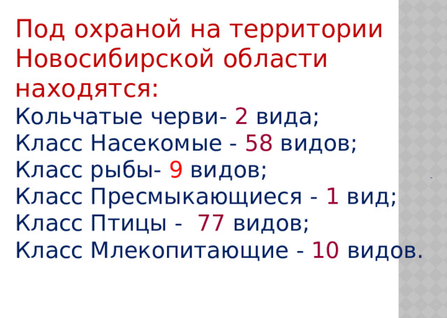 Под охраной на территории Новосибирской области находятся: Кольчатые черви- 2 вида; Класс Насекомые - 58 видов; Класс рыбы- 9 видов;  Класс Пресмыкающиеся - 1 вид; Класс Птицы - 77 видов; Класс Млекопитающие - 10 видов.   