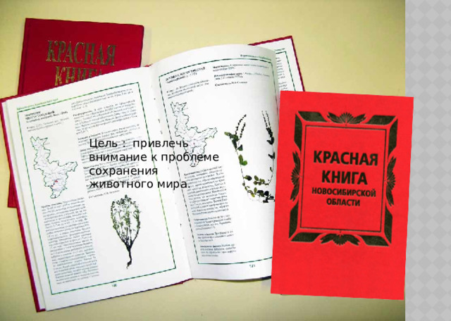 Цель : привлечь внимание к проблеме сохранения животного мира. 