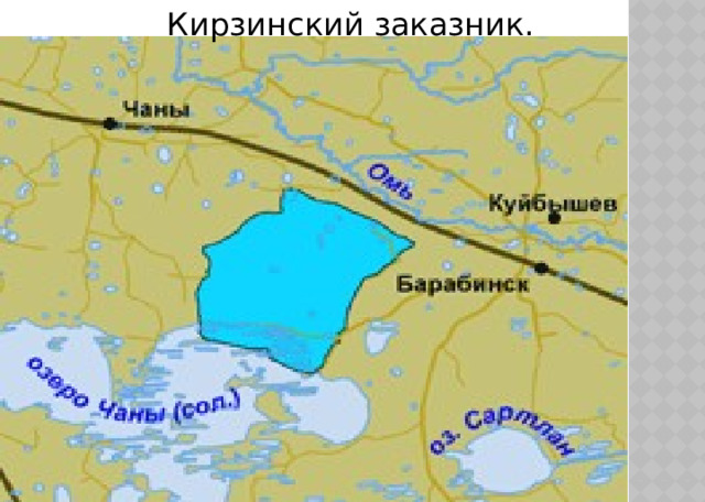  Кирзинский заказник. 