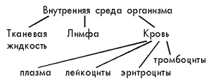 Составьте схему иллюстрирующую взаимопревращение 3 основных компонентов внутренней среды организма