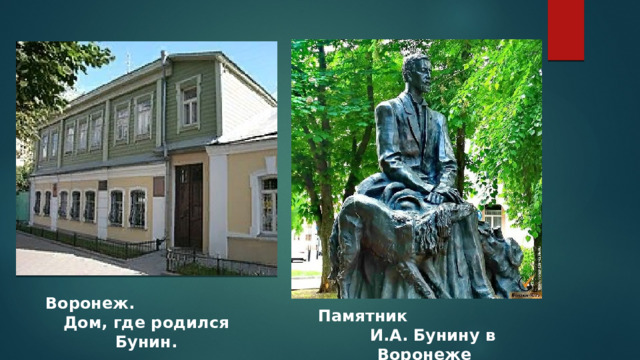 Памятник И.А. Бунину в Воронеже Воронеж. Дом, где родился Бунин. 