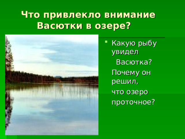  Что привлекло внимание  Васютки в озере? Какую рыбу увидел  Васютка?  Почему он решил,  что озеро  проточное? 