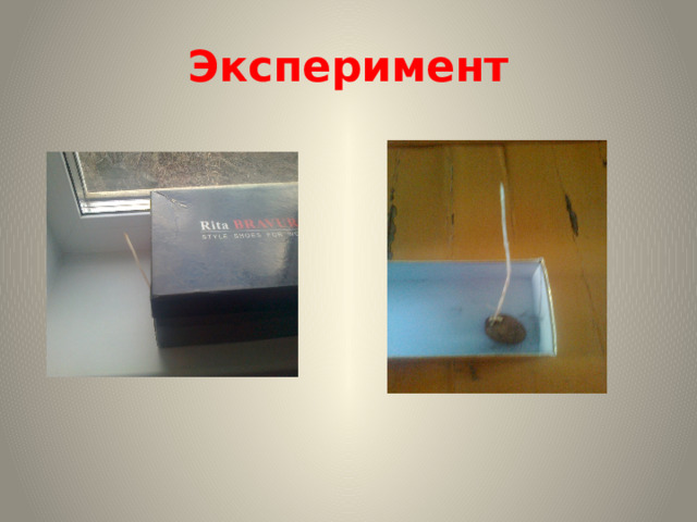 Эксперимент 