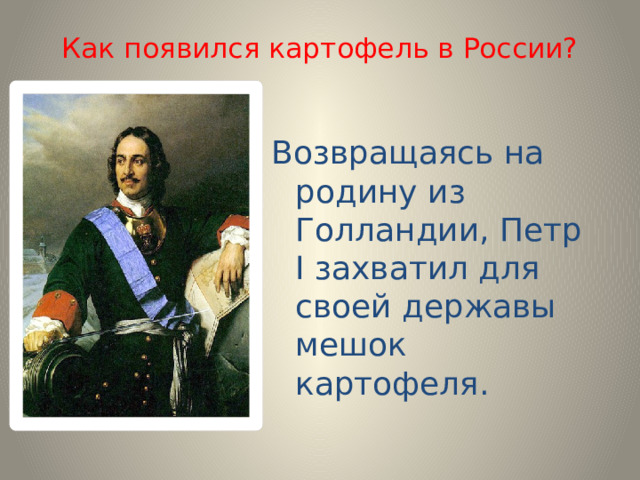 Как появился картофель в России? Возвращаясь на родину из Голландии, Петр I захватил для своей державы мешок картофеля. 