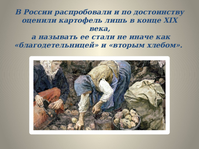 В России распробовали и по достоинству оценили картофель лишь в конце XIX века,  а называть ее стали не иначе как «благодетельницей» и «вторым хлебом».   