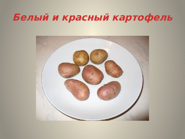 Белый и красный картофель 
