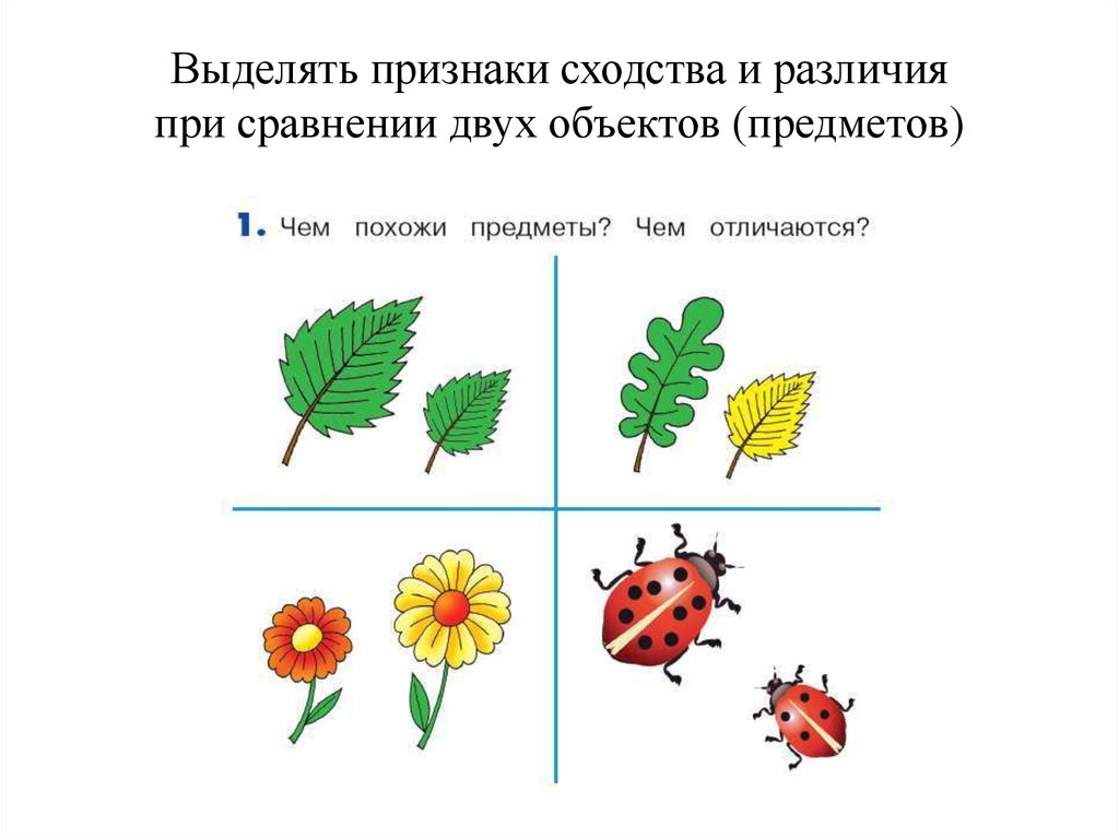 Рассмотри рисунок выбери существенный главный признак для классификации