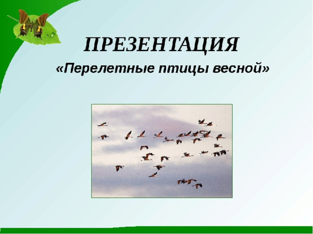 Презентация птицы для дошкольников. Перелетные птицы презентация. Презентация перелетные птицы весной. Презентация на тему перелетные птицы в старшей группе.