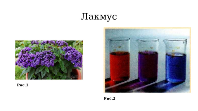 Лакмус Рис.1 Рис.2 