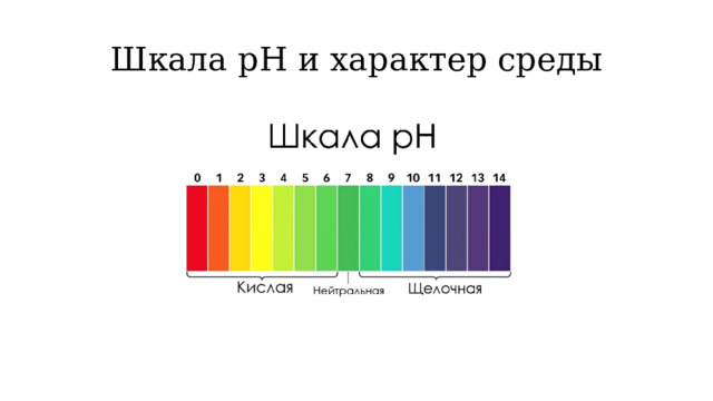 Характер среды. РН индикаторы. РН.