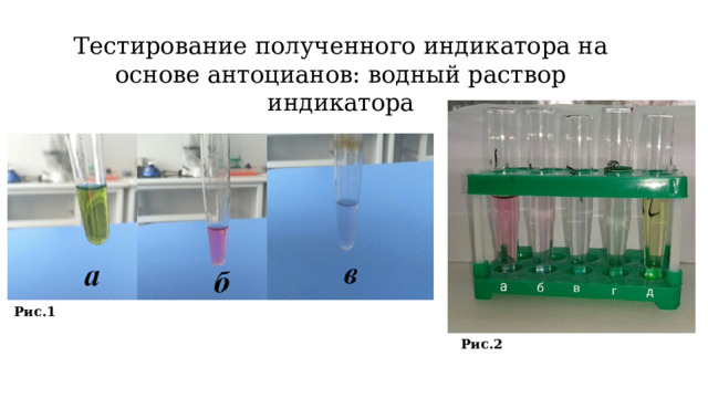 Тестирование полученного индикатора на основе антоцианов: водный раствор индикатора Рис.1 Рис.2 