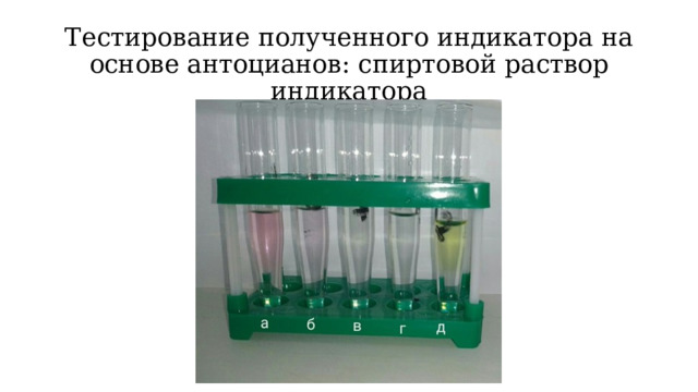 Тестирование полученного индикатора на основе антоцианов: спиртовой раствор индикатора 