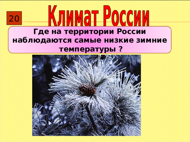 20 Где на территории России наблюдаются самые низкие зимние температуры ?  