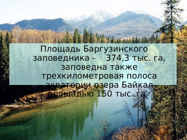  Площадь Баргузинского заповедника - 374,3 тыс. га, заповедна также трехкилометровая полоса акватории озера Байкал площадью 150 тыс. га. 