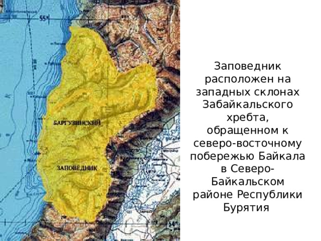 Заповедник расположен на западных склонах Забайкальского хребта, обращенном к северо-восточному побережью Байкала в Северо-Байкальском районе Республики Бурятия 