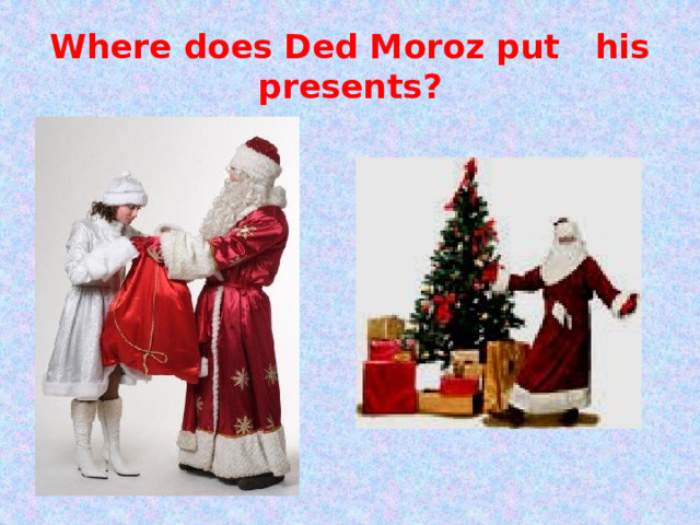 Where does Ded Moroz put his presents? 