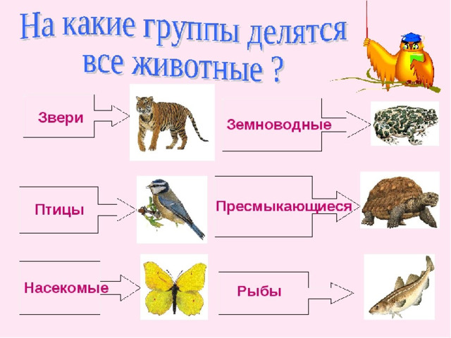 План конспект урока по окружающему миру 2 класс по фгос школа россии