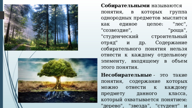 Собирательными  называются понятия, в которых группа однородных предметов мыслится как единое целое: 