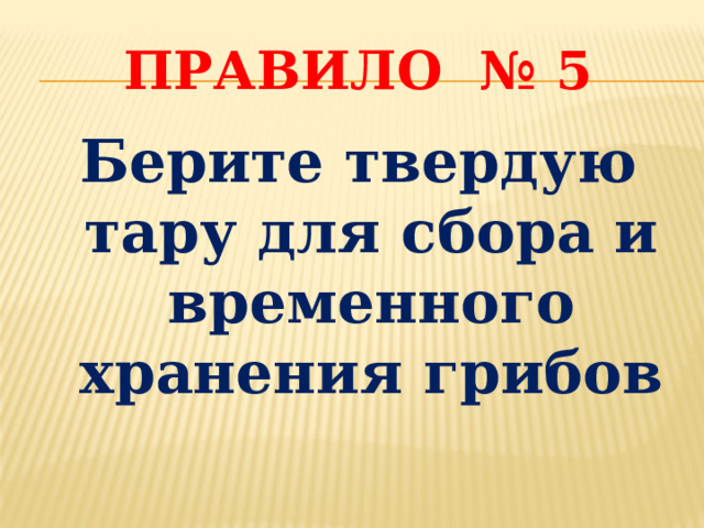 Правило № 5 Берите твердую тару для сбора и временного хранения грибов 