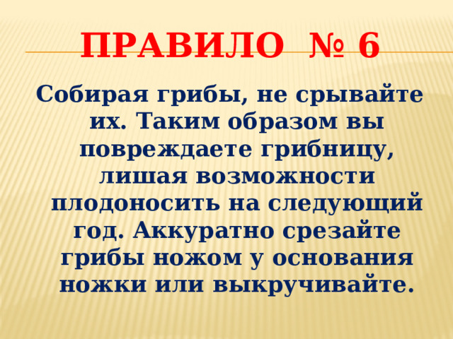 Правило № 6 Собирая грибы, не срывайте их. Таким образом вы повреждаете грибницу, лишая возможности плодоносить на следующий год. Аккуратно срезайте грибы ножом у основания ножки или выкручивайте. 