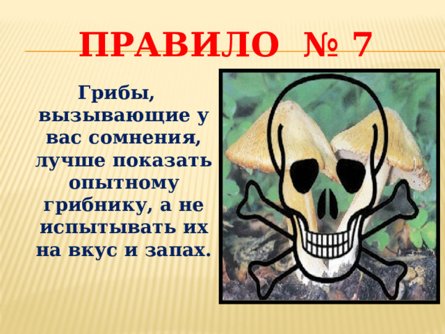 Правило № 7 Грибы, вызывающие у вас сомнения, лучше показать опытному грибнику, а не испытывать их на вкус и запах. 