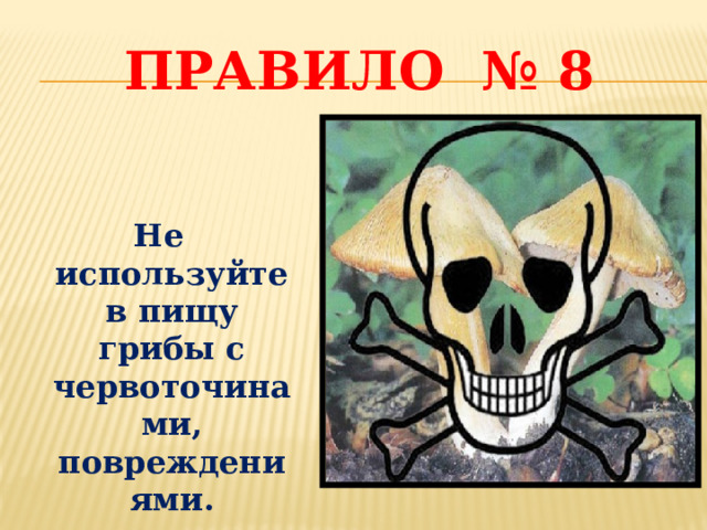 Правило № 8   Не используйте в пищу грибы с червоточинами, повреждениями. 